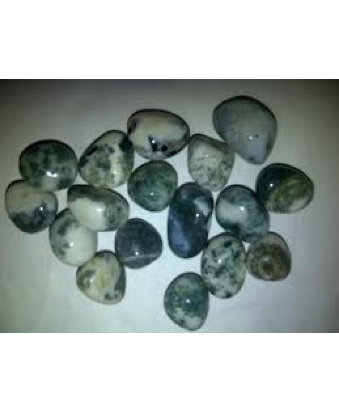 Chips Tree Agate